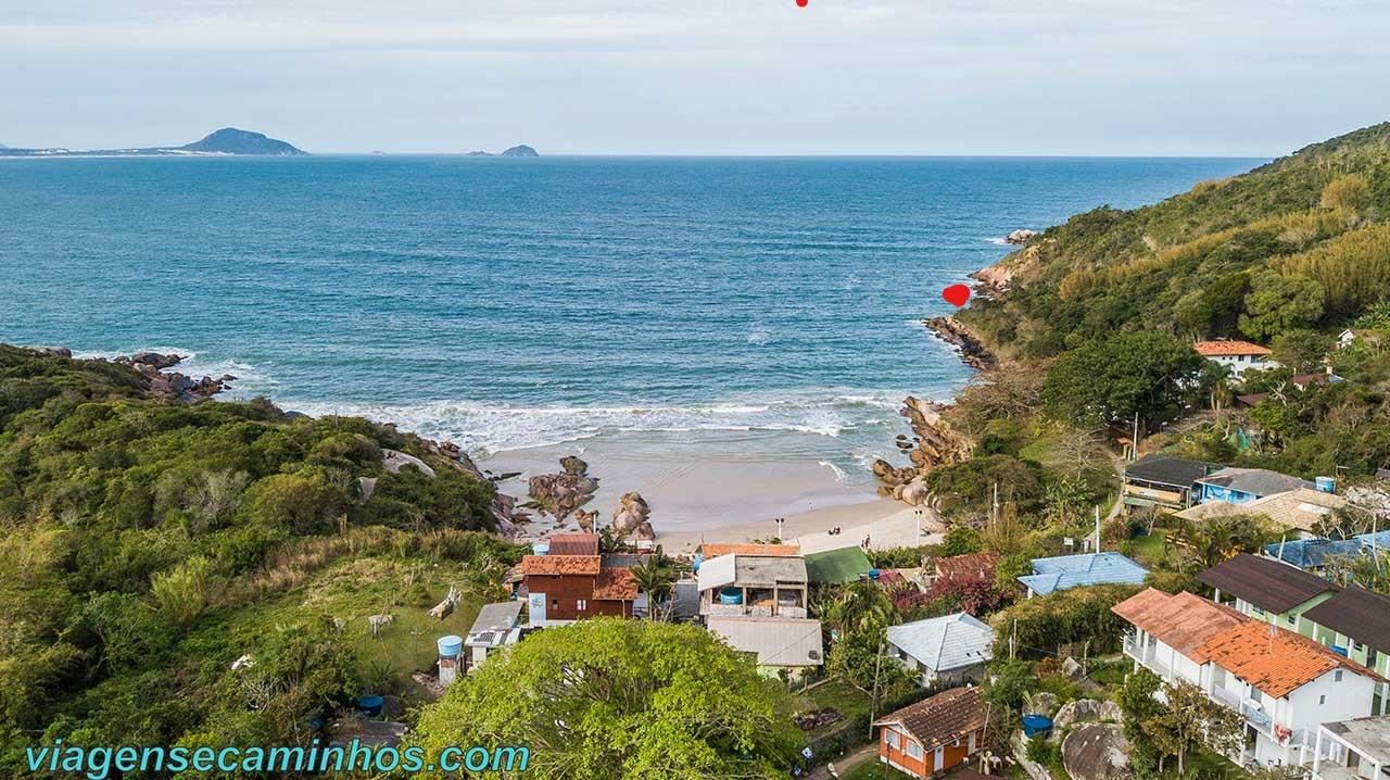 Negrofloripa - stvincent.nupark.com